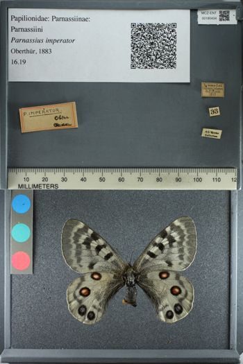 Media type: image;   Entomology 180434